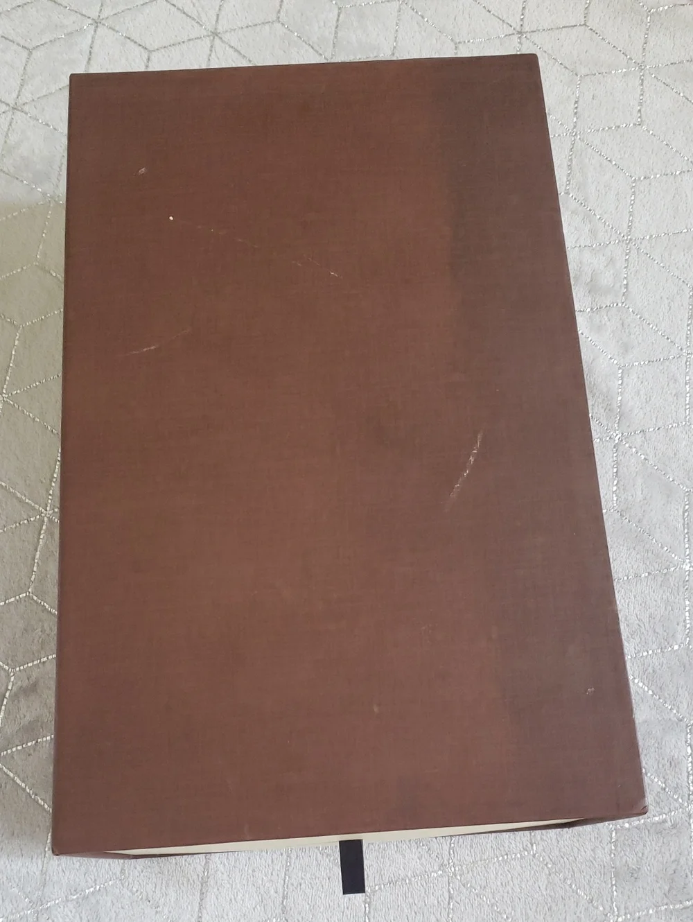Louis Vuitton euc* pre